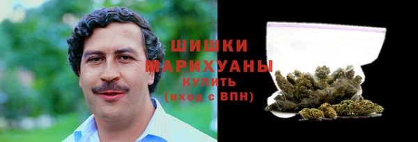 сатива Мегион