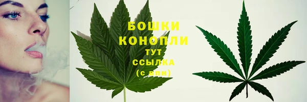 каннабис Магас