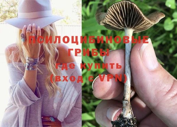 молекула духа Михайловск