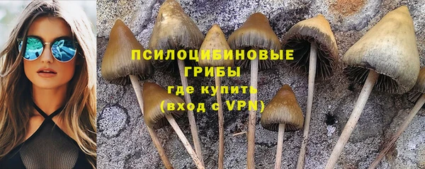 марихуана Медногорск