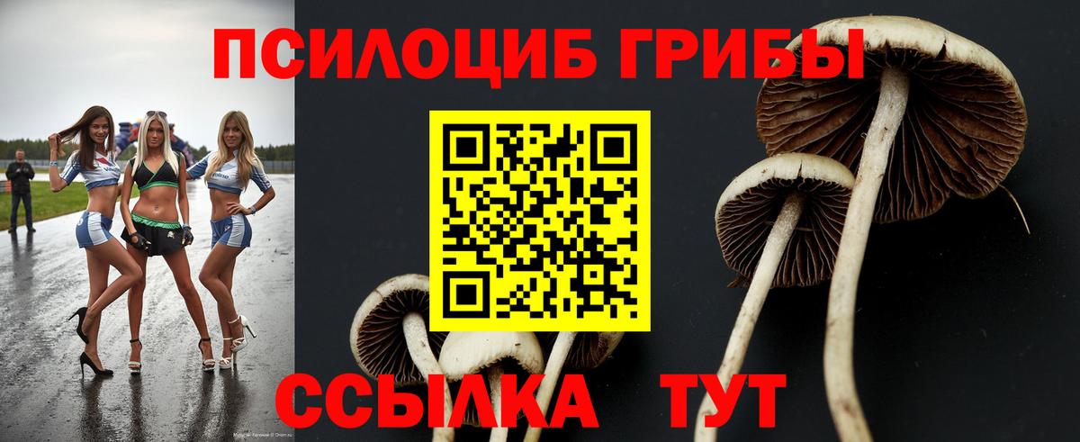 Псилоцибиновые грибы мухоморы  Вход с VPN  Россия 