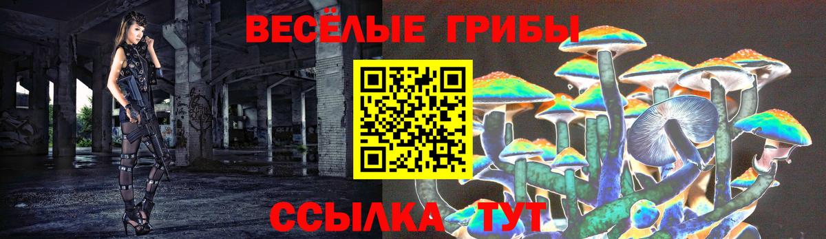 Псилоцибиновые грибы Psilocybe Россия