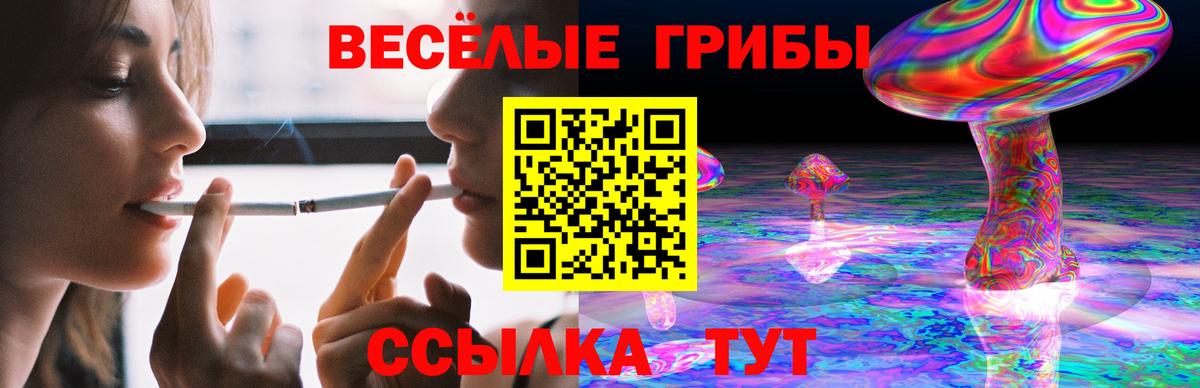 Галлюциногенные грибы Psilocybine cubensis  Псилоцибиновые грибы ЛСД  Россия 