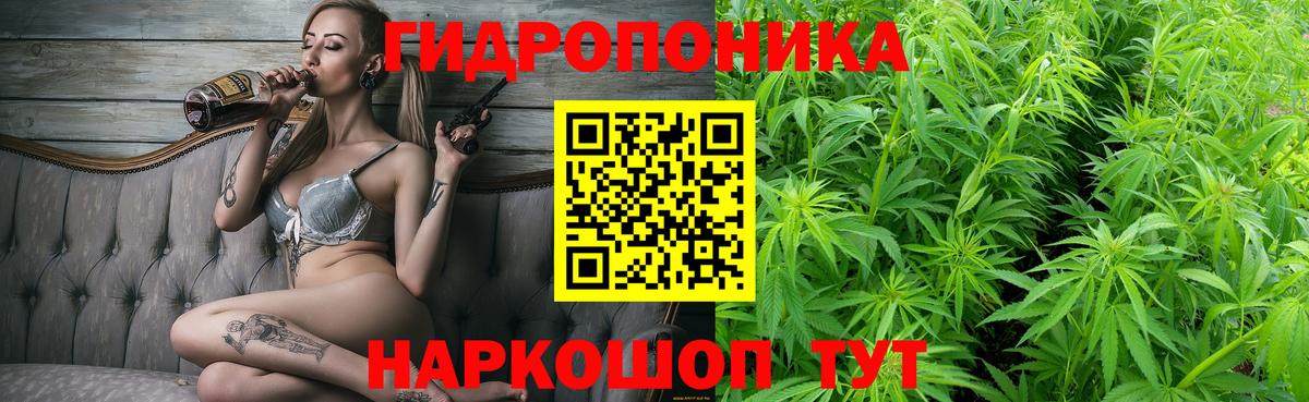 Шишки марихуана ГИДРОПОН Россия
